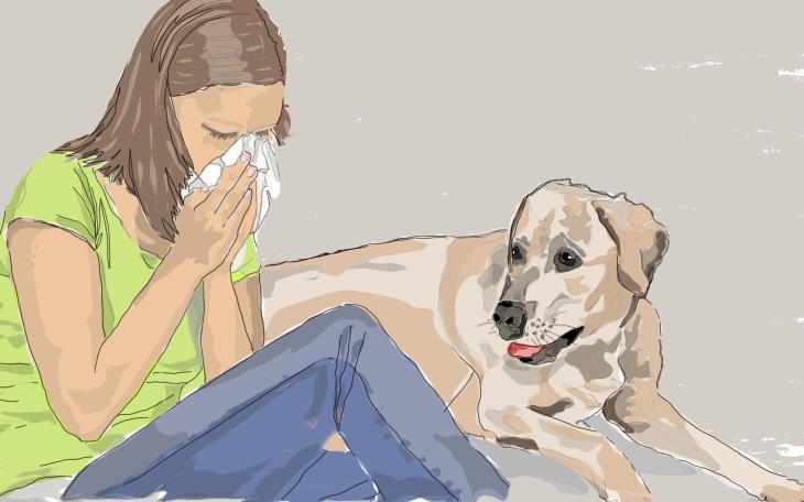 Hundehaarallergie - Anzeichen
