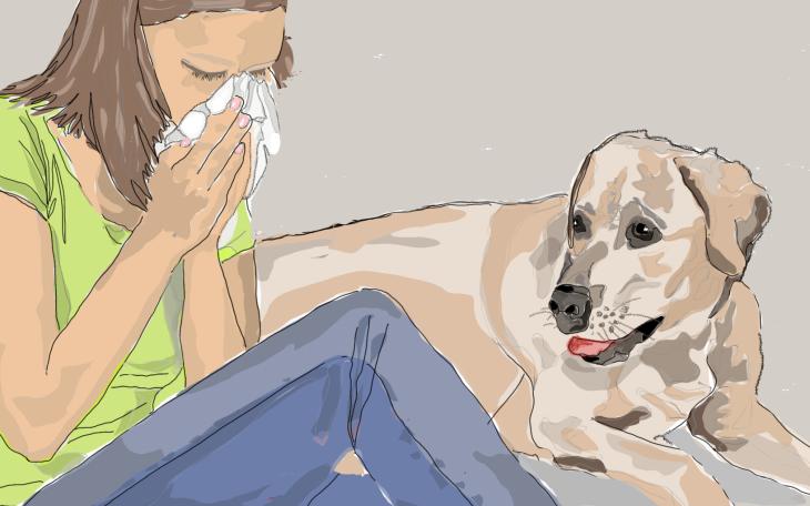 Symptome einer Tierhaarallergie