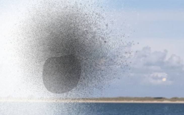 Netzhautablösung Symptome