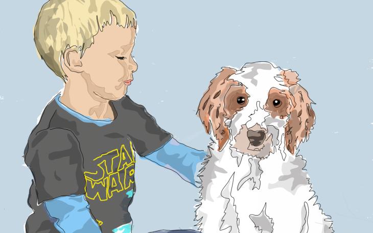 Boutonneuse-Fieber Hund