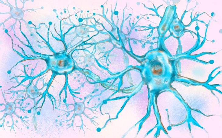 Bein eingeschlafen Nerven
