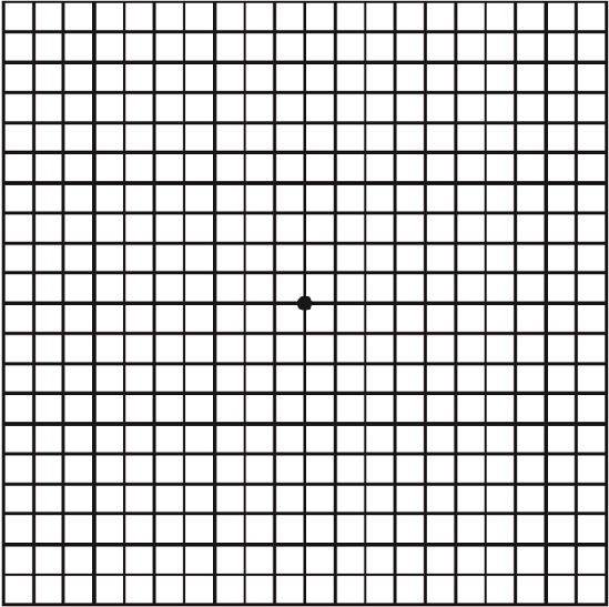 Amsler Gitter Test