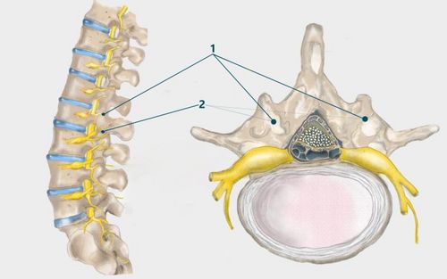 Bild eines Users zum Thema Facettensyndrom